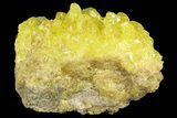 Sulfur Crystals on Matrix - Bolivia #66296-2